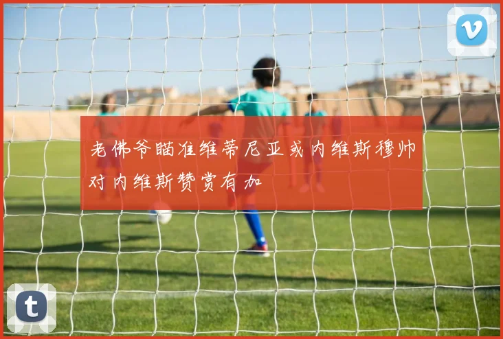 老佛爷瞄准维蒂尼亚或内维斯穆帅对内维斯赞赏有加