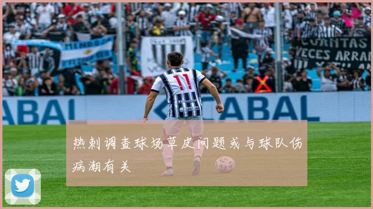热刺调查球场草皮问题或与球队伤病潮有关